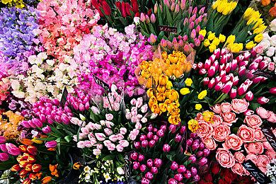 《龙之信条2》存档不能随意删除 或被D加密封禁