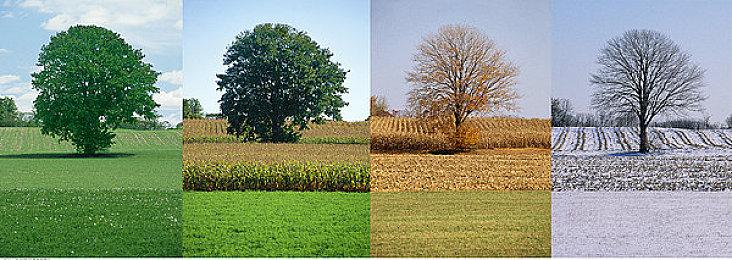 《永劫无间》新演示 2022年12月登陆Xbox One